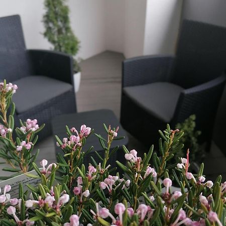 Szczecin Hanza Tower Apartment-Basen エクステリア 写真