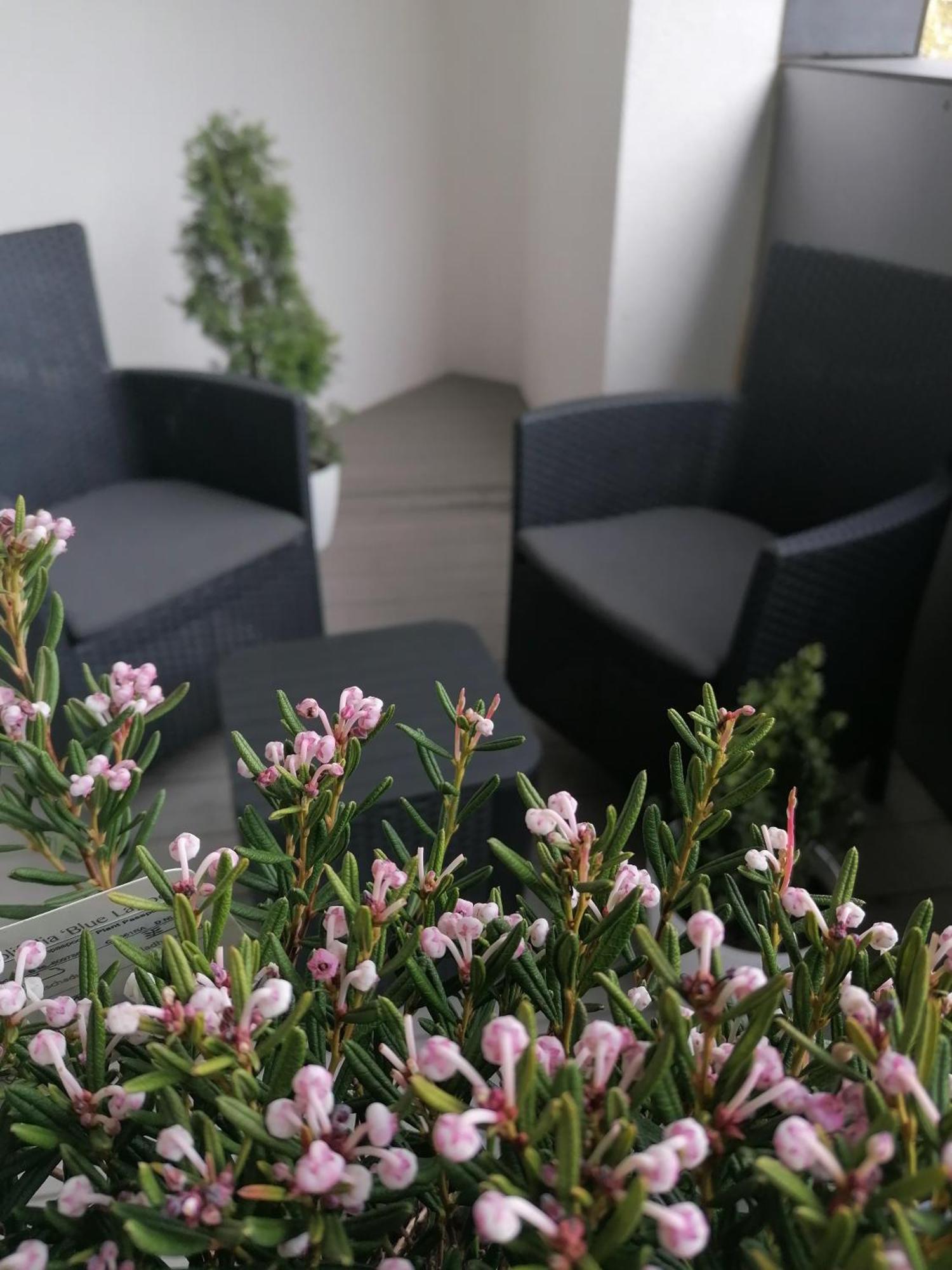 Szczecin Hanza Tower Apartment-Basen エクステリア 写真